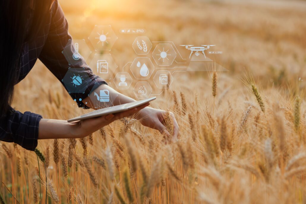 Operatore agricolo con tablet in un campo di cereali