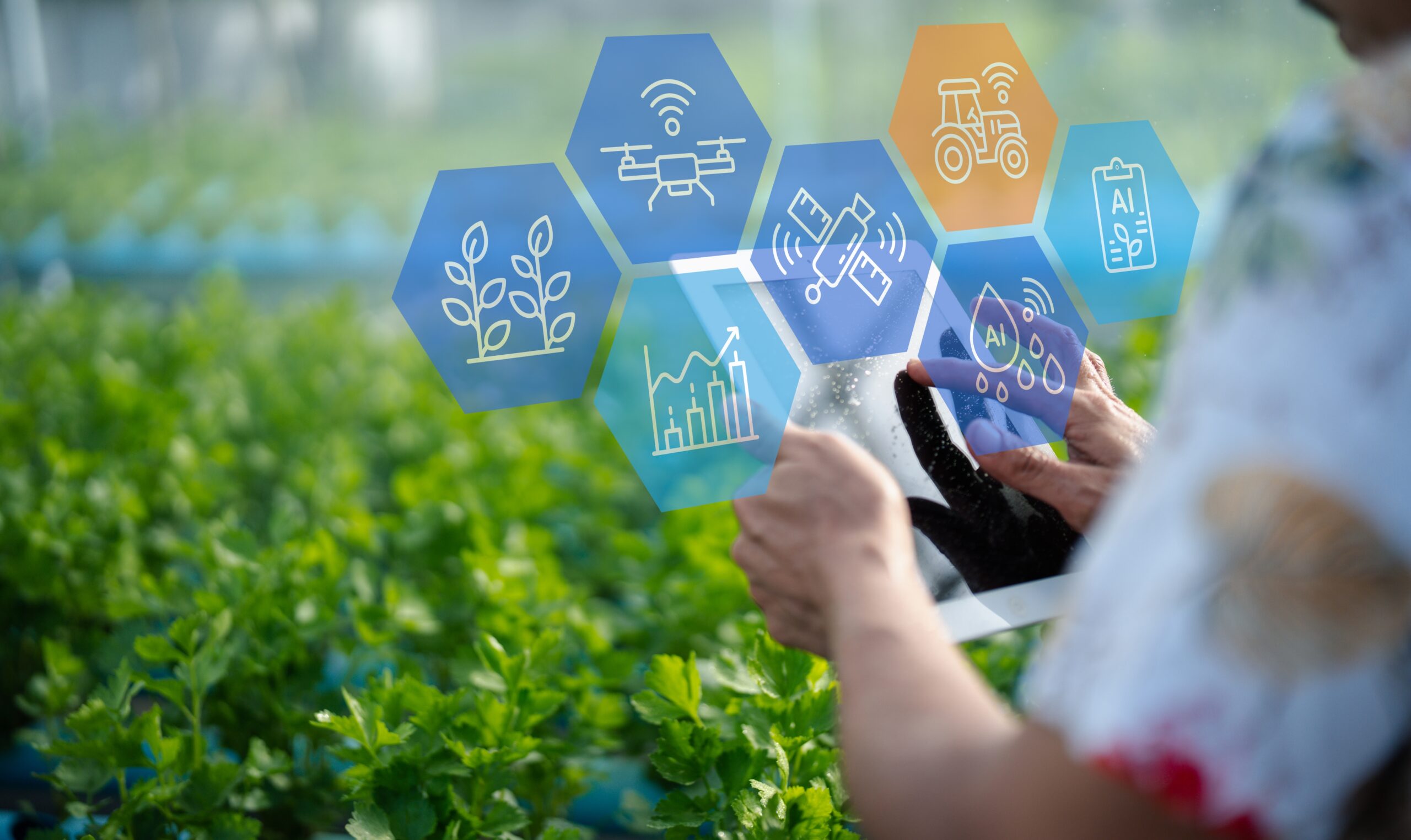 Tablet e dati digitali per il monitoraggio delle colture