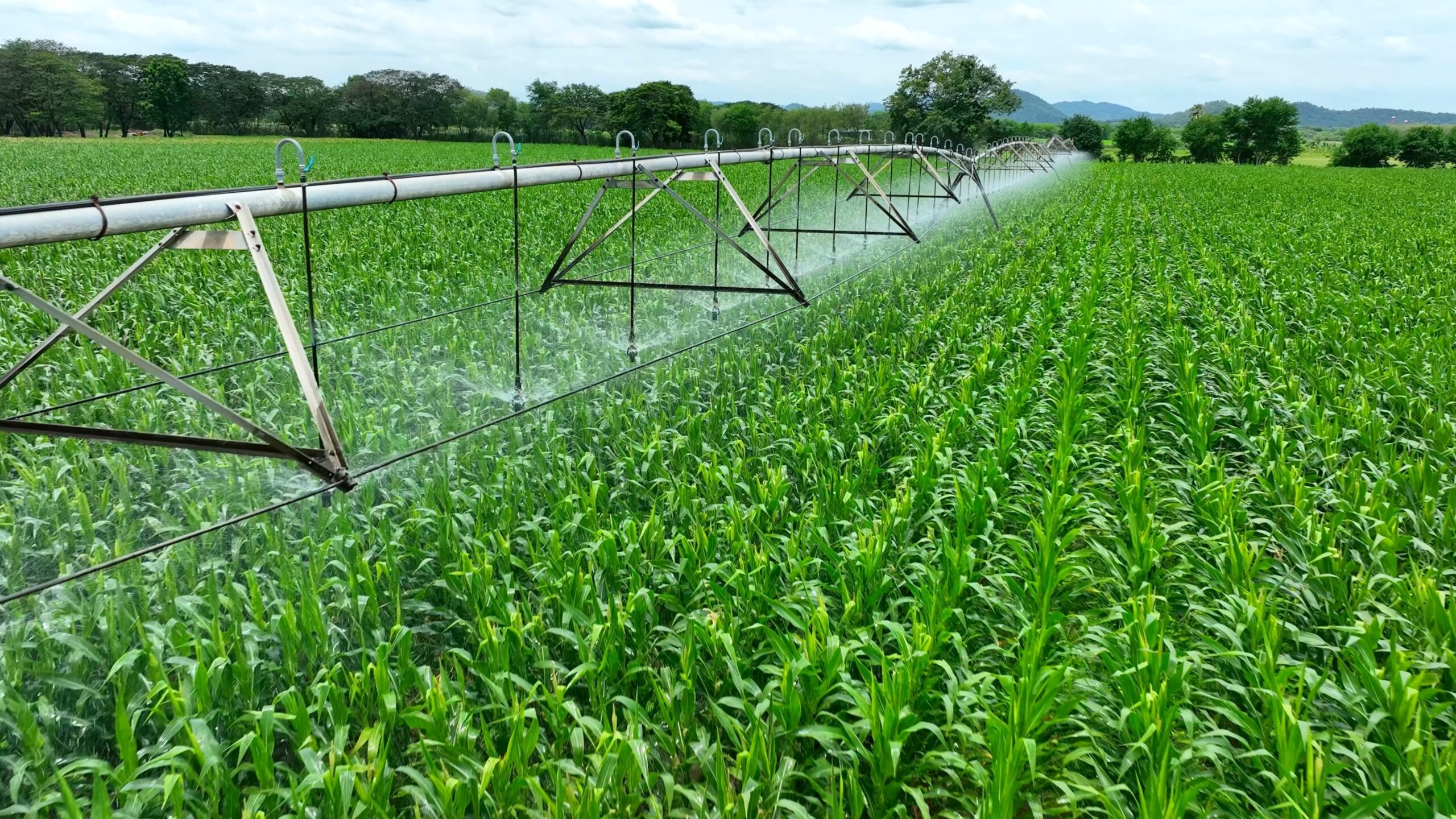 Irrigazione dei campi agricoli vista dall’alto