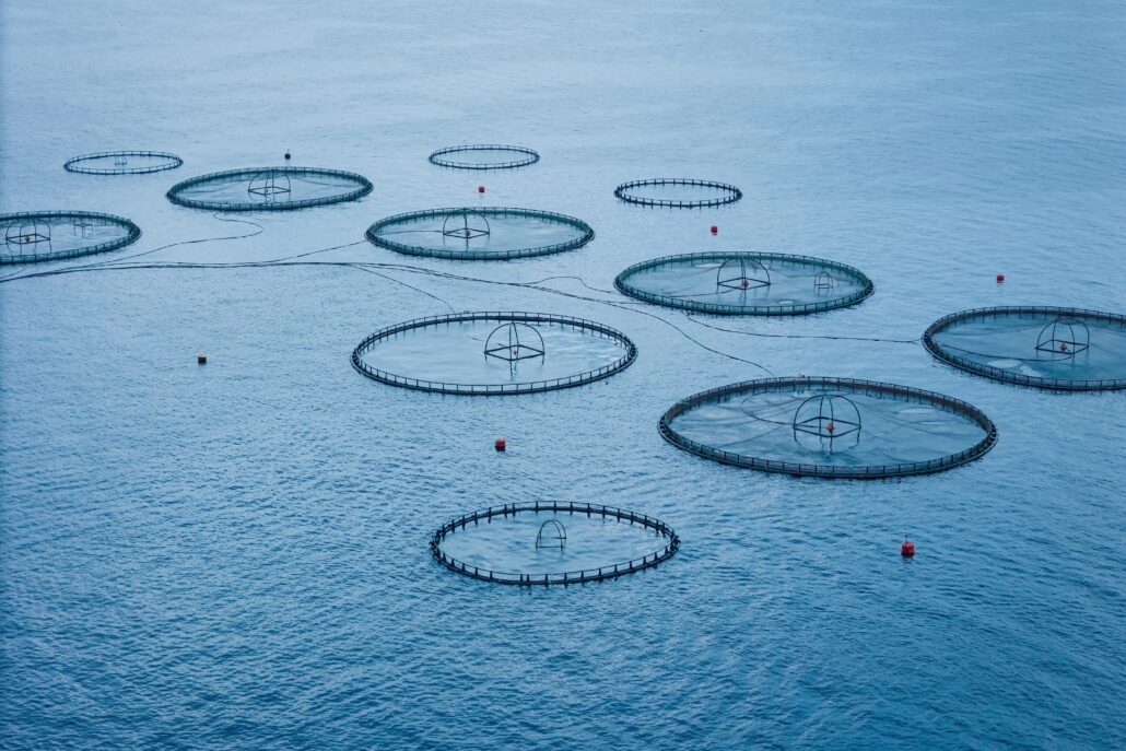 Impianto di acquacoltura in mare